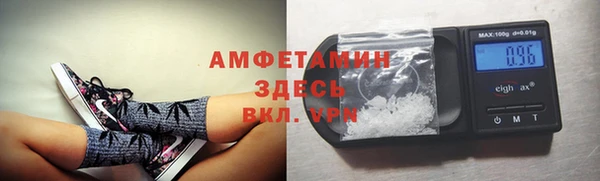 стафф Абаза