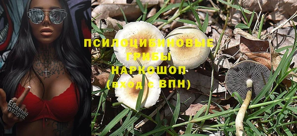 стафф Абаза