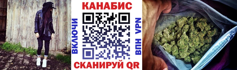 Канабис гибрид  Чегем 